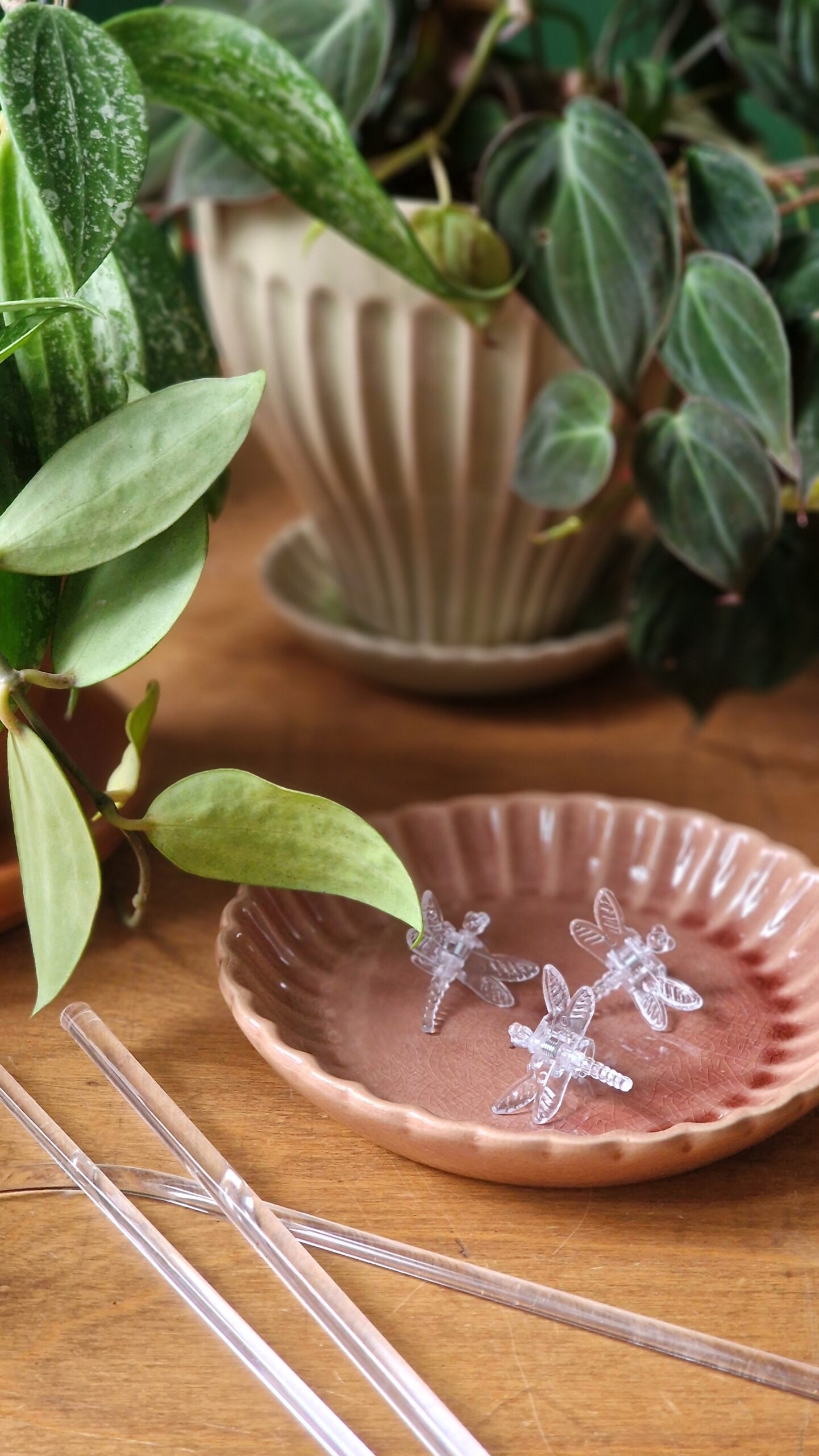 Kiilassulg-klamber - Image 5