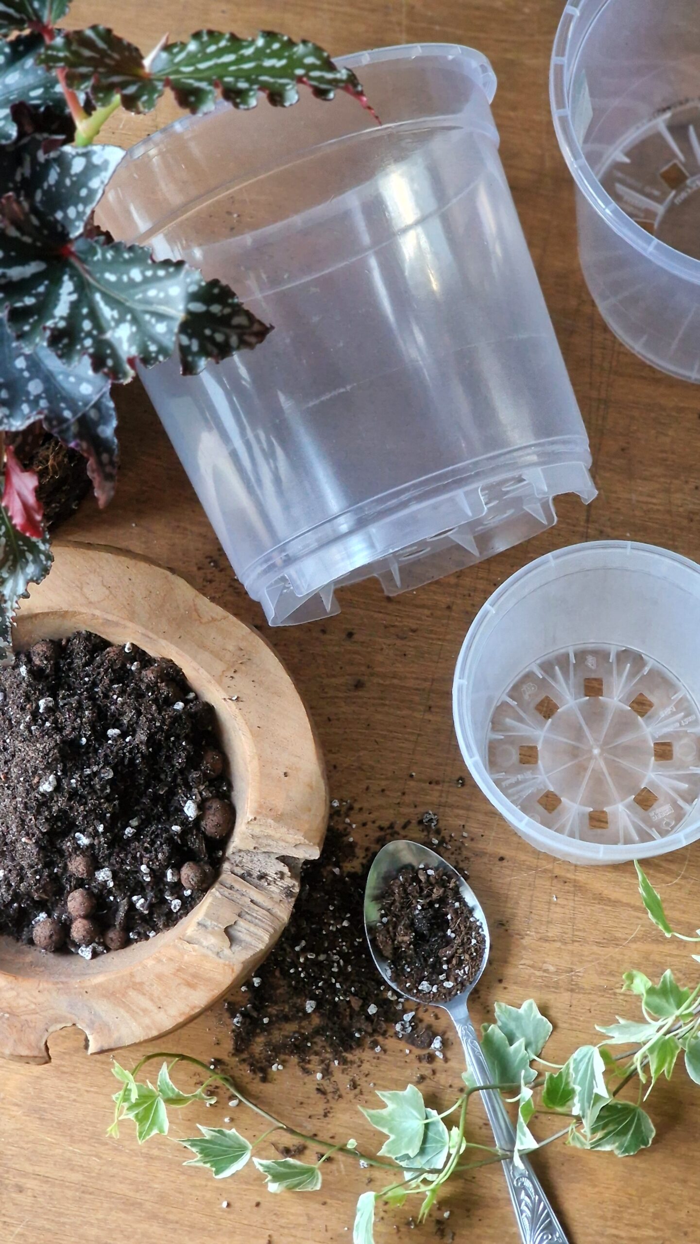 Läbipaistev istutuspott - Image 2