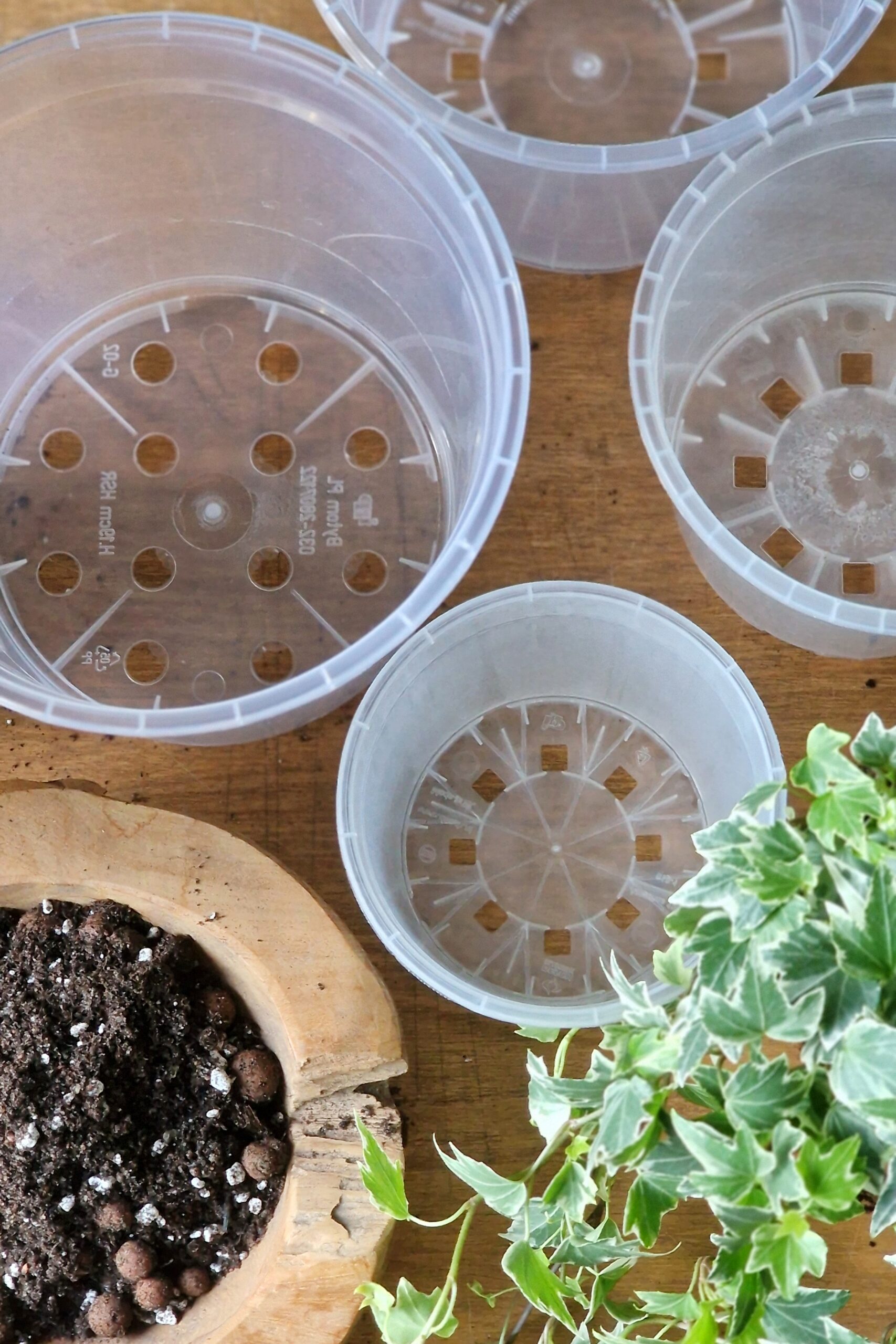 Läbipaistev istutuspott - Image 4