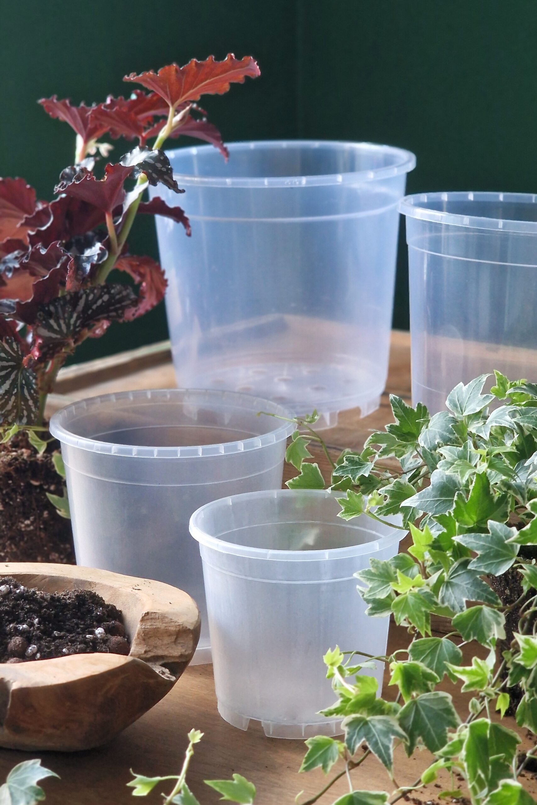 Läbipaistev istutuspott - Image 3