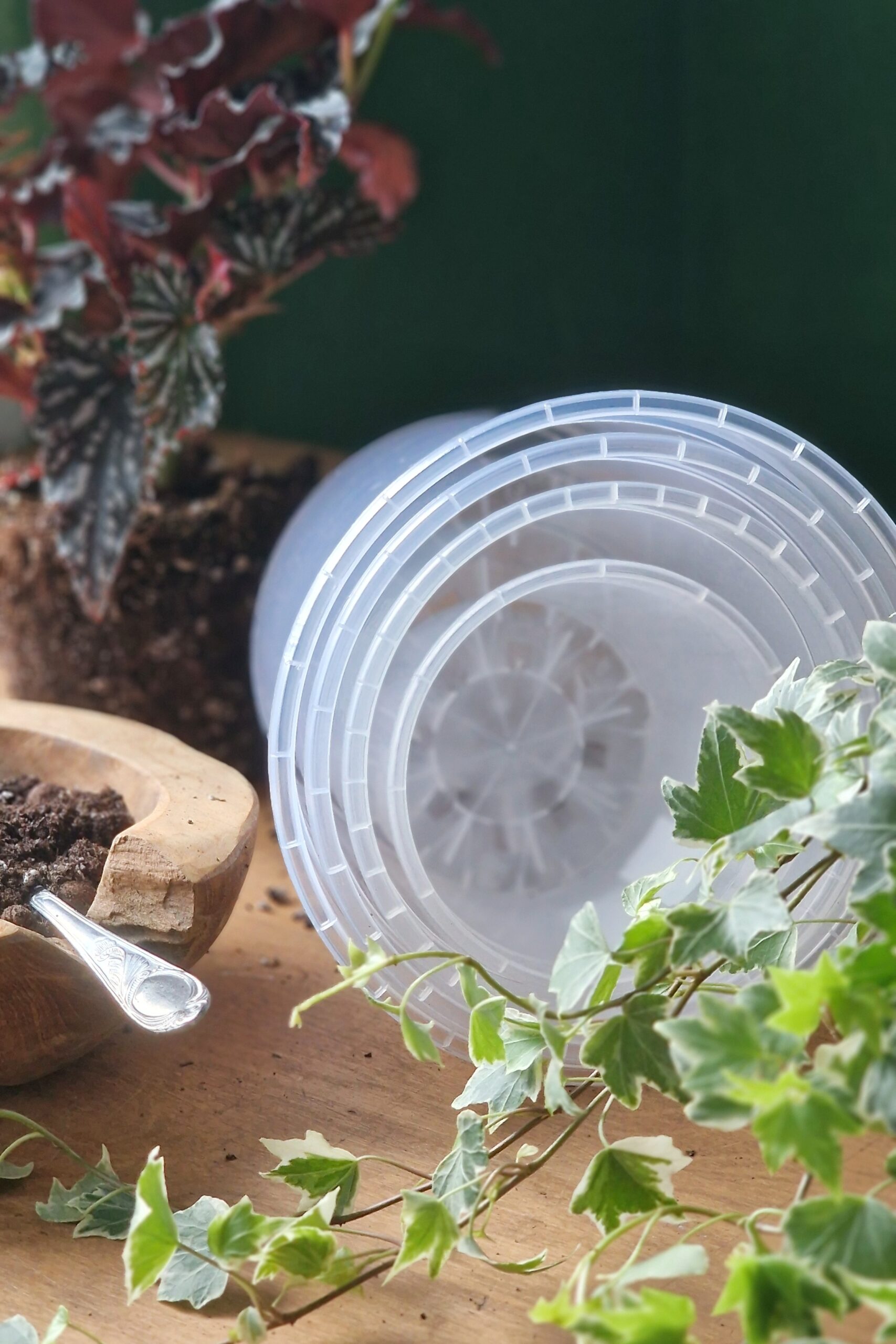 Läbipaistev istutuspott - Image 5