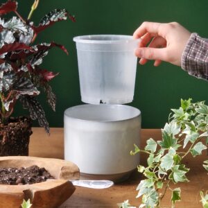 Läbipaistev istutuspott