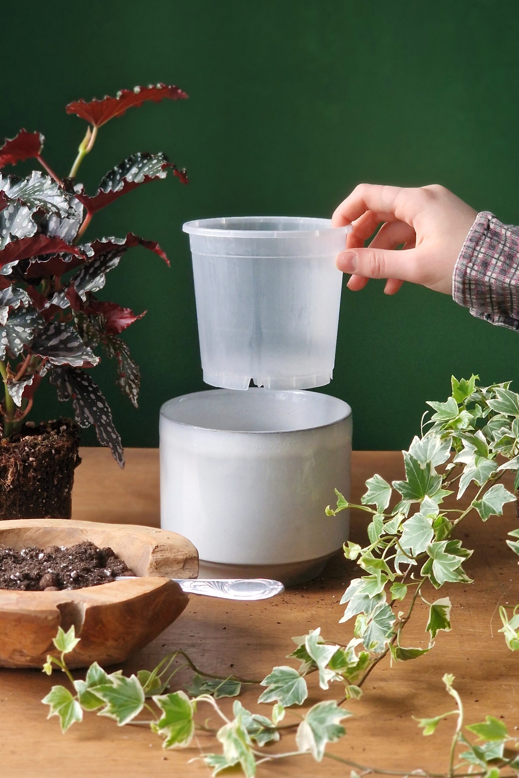 Läbipaistev istutuspott