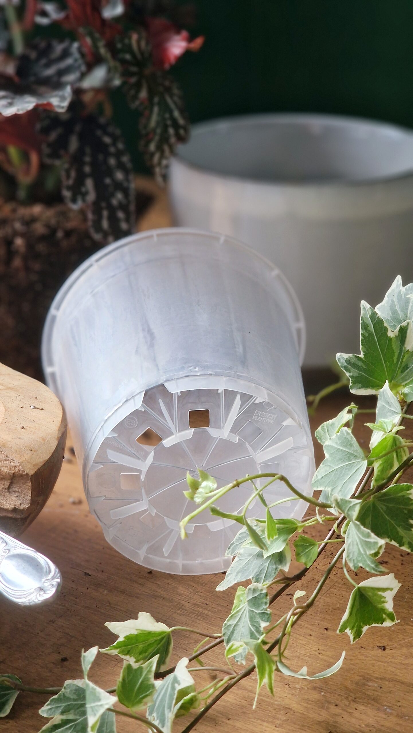 Läbipaistev istutuspott - Image 7