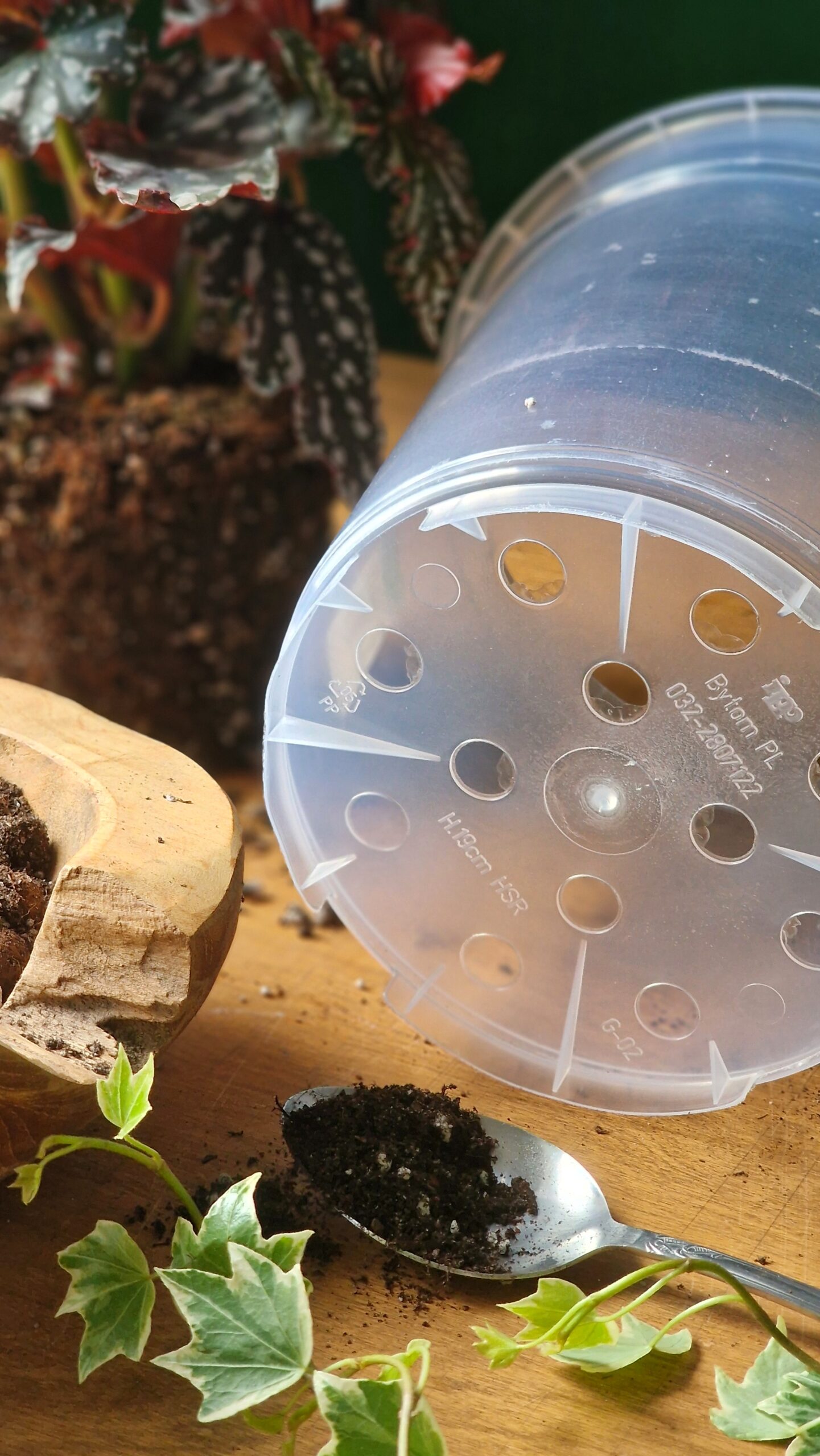 Läbipaistev istutuspott - Image 8