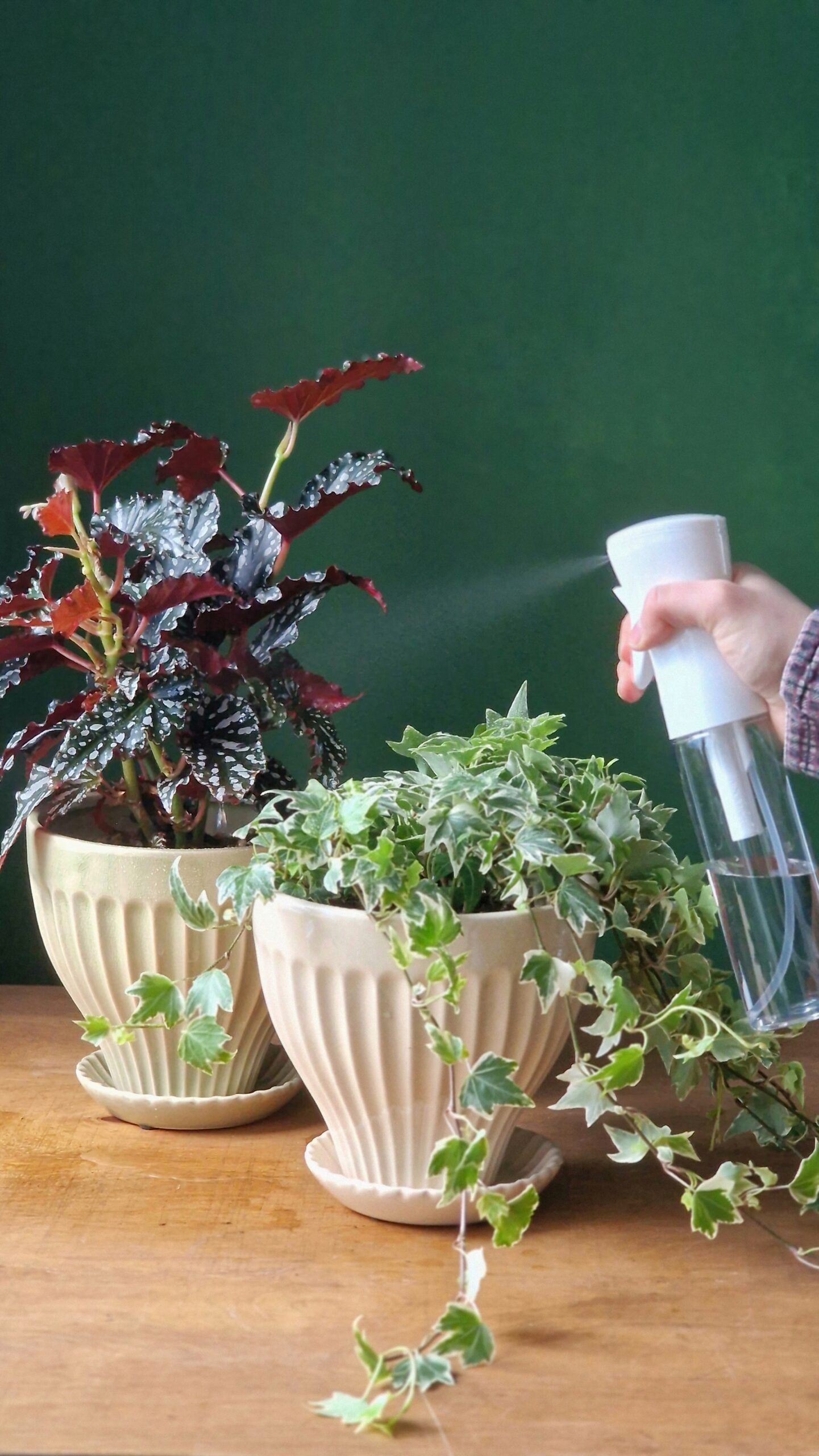 Pihustuspudel 300ml - Image 2