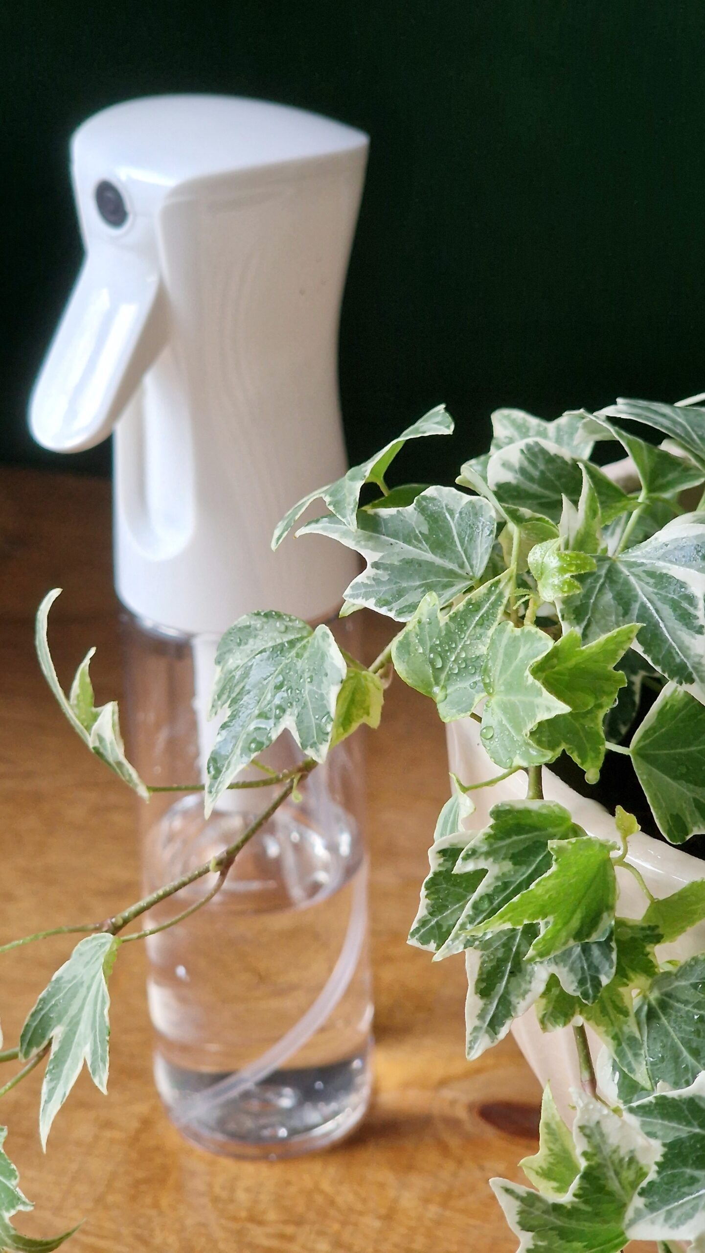 Pihustuspudel 300ml - Image 3