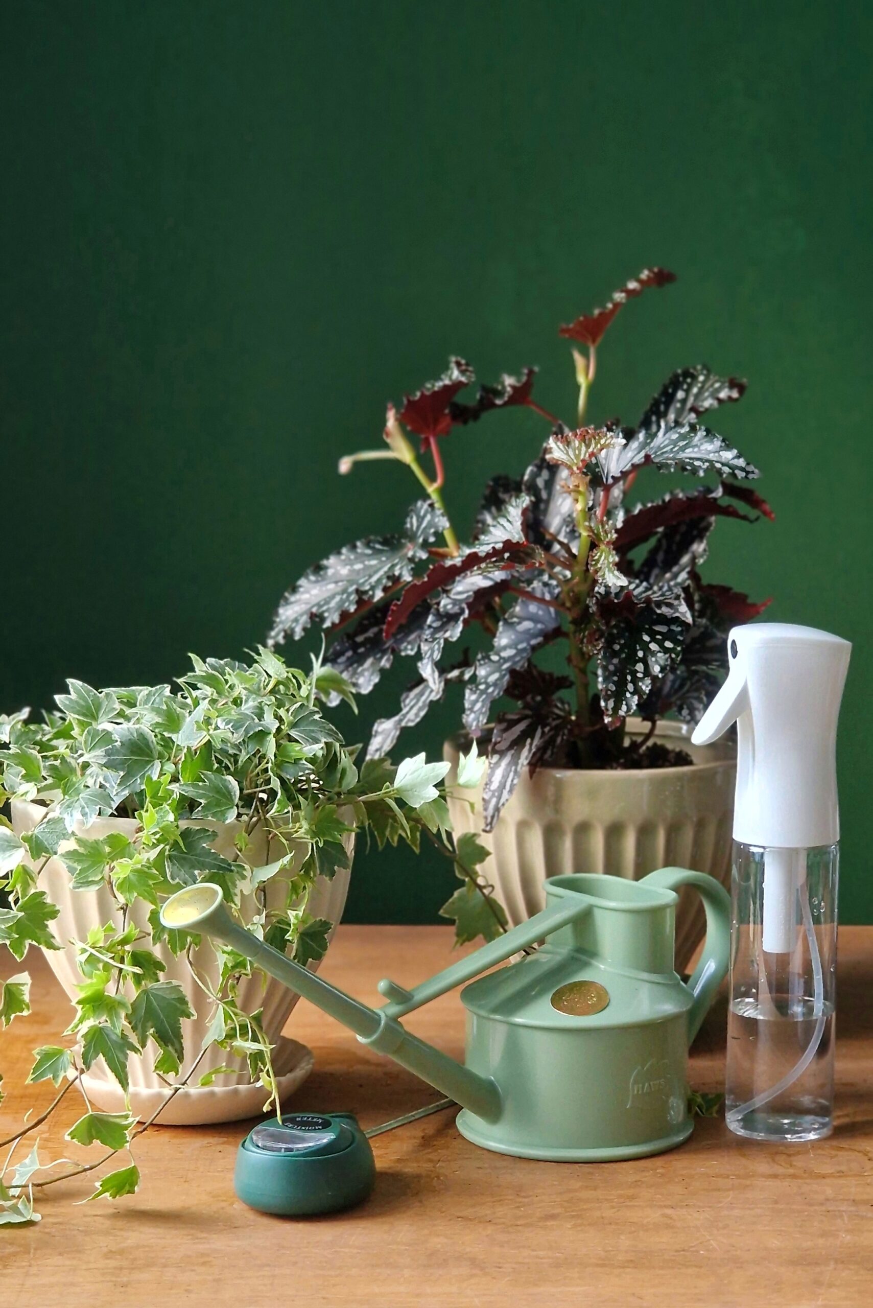 Pihustuspudel 300ml - Image 4