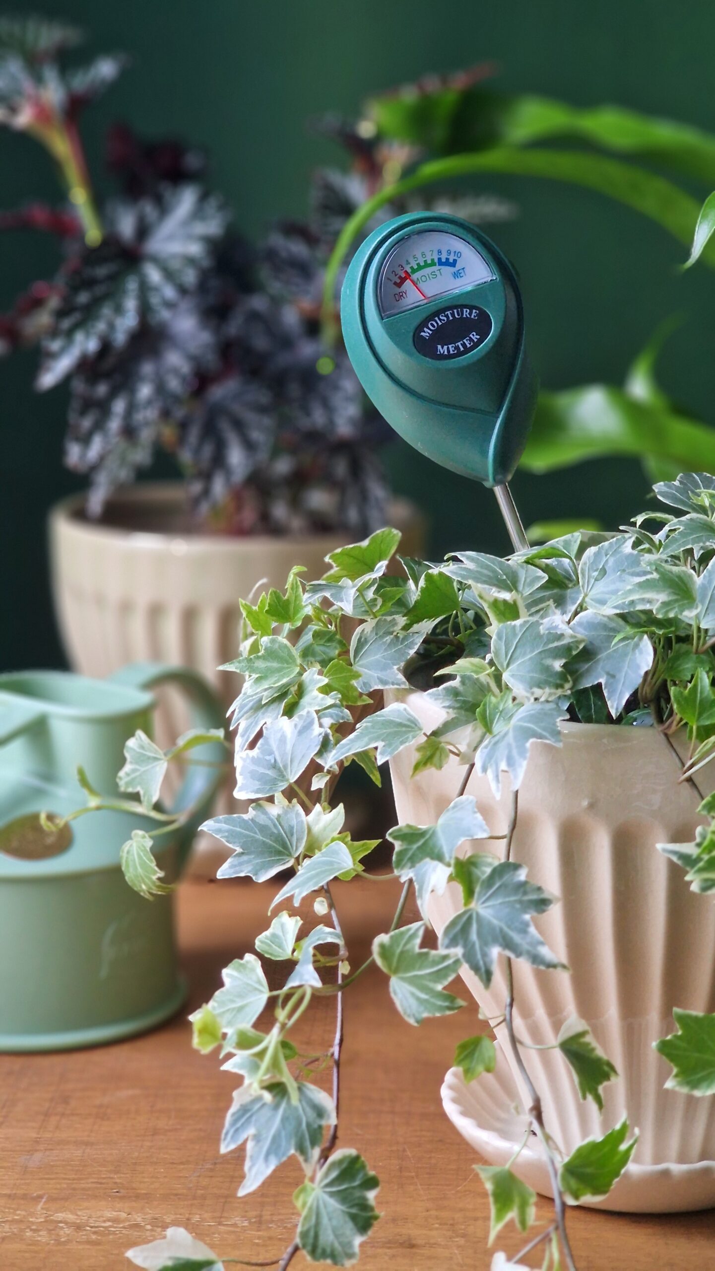 Niiskusmõõtja - Image 2