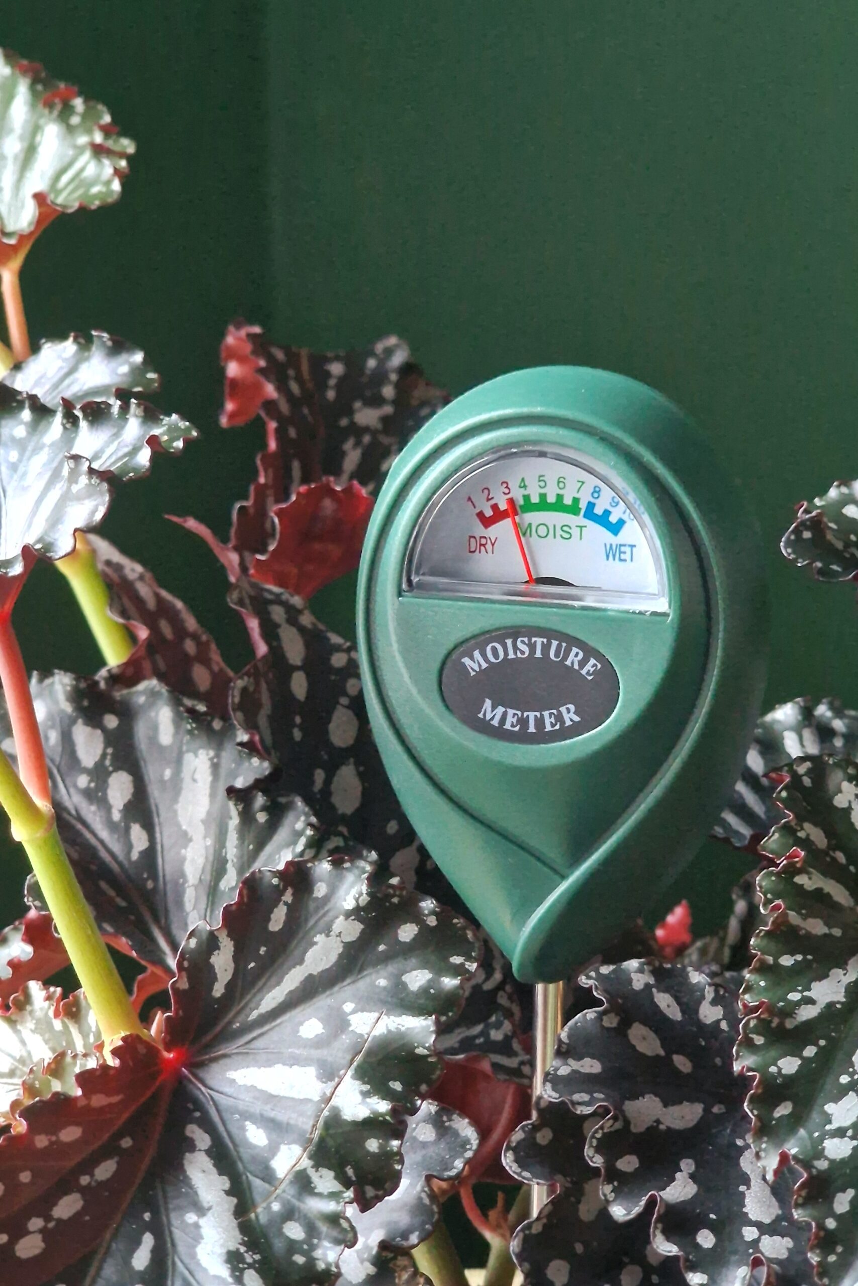 Niiskusmõõtja - Image 3