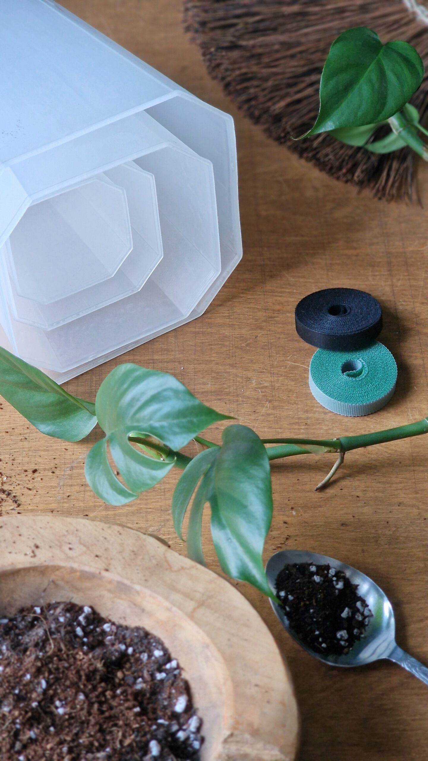 Kõrge aroidipott - Image 4