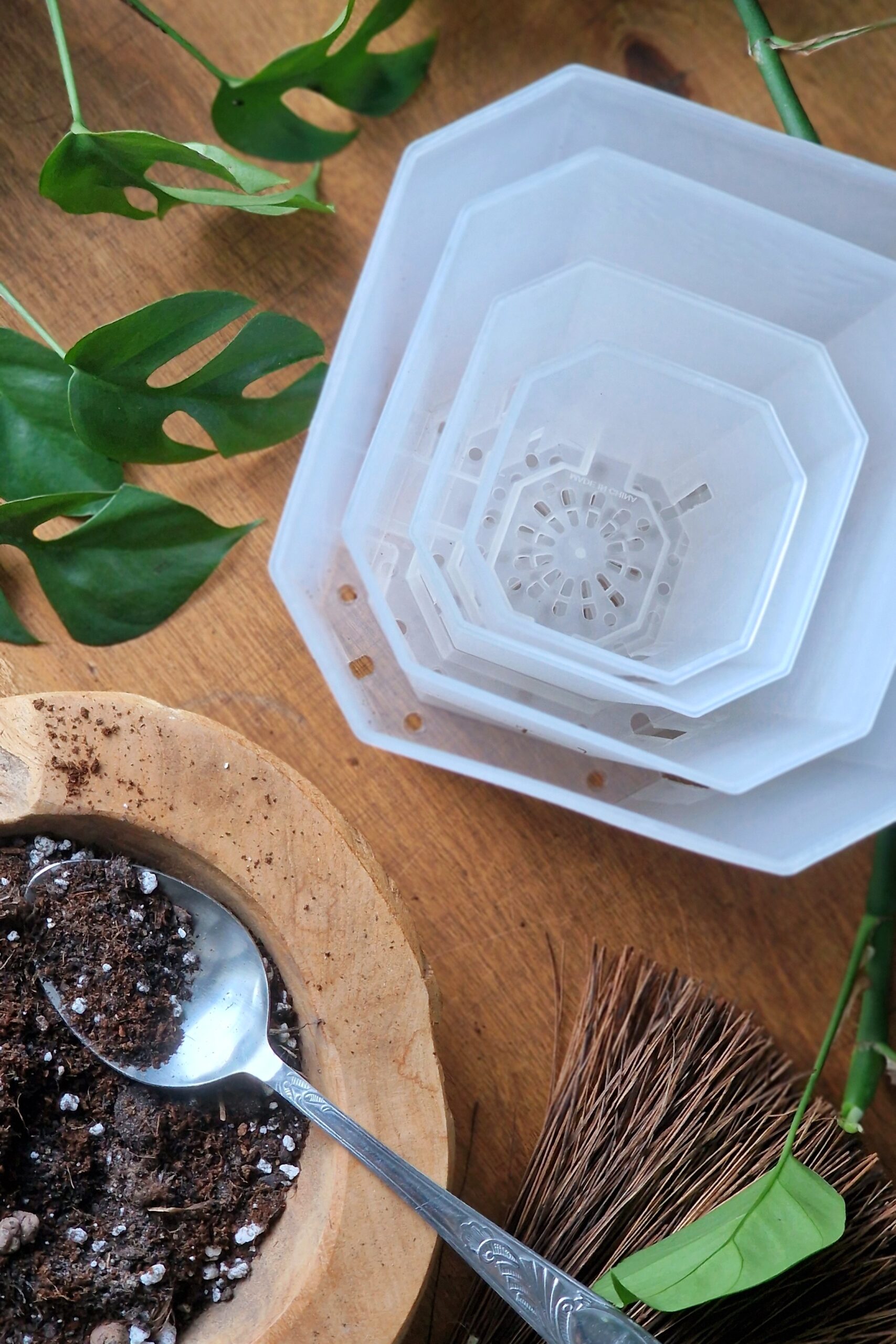 Kõrge aroidipott - Image 5