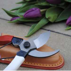 Okatsune oksakäärid