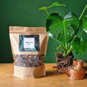 Monstera mix by DigiGarden