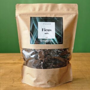 Ficus mix by DigiGarden