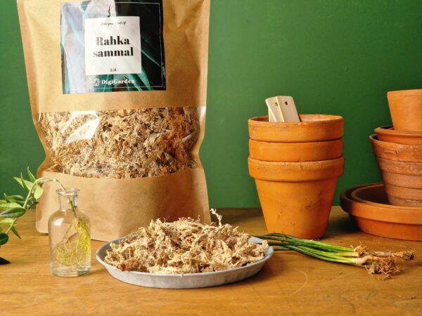 Turba­sammal by DigiGarden - Image 3