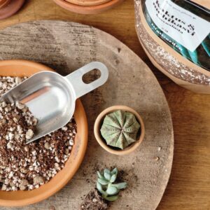 Kaktuse- ja sukulendikasvusubstraat by DigiGarden