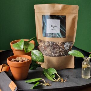 Hoya mix by DigiGarden