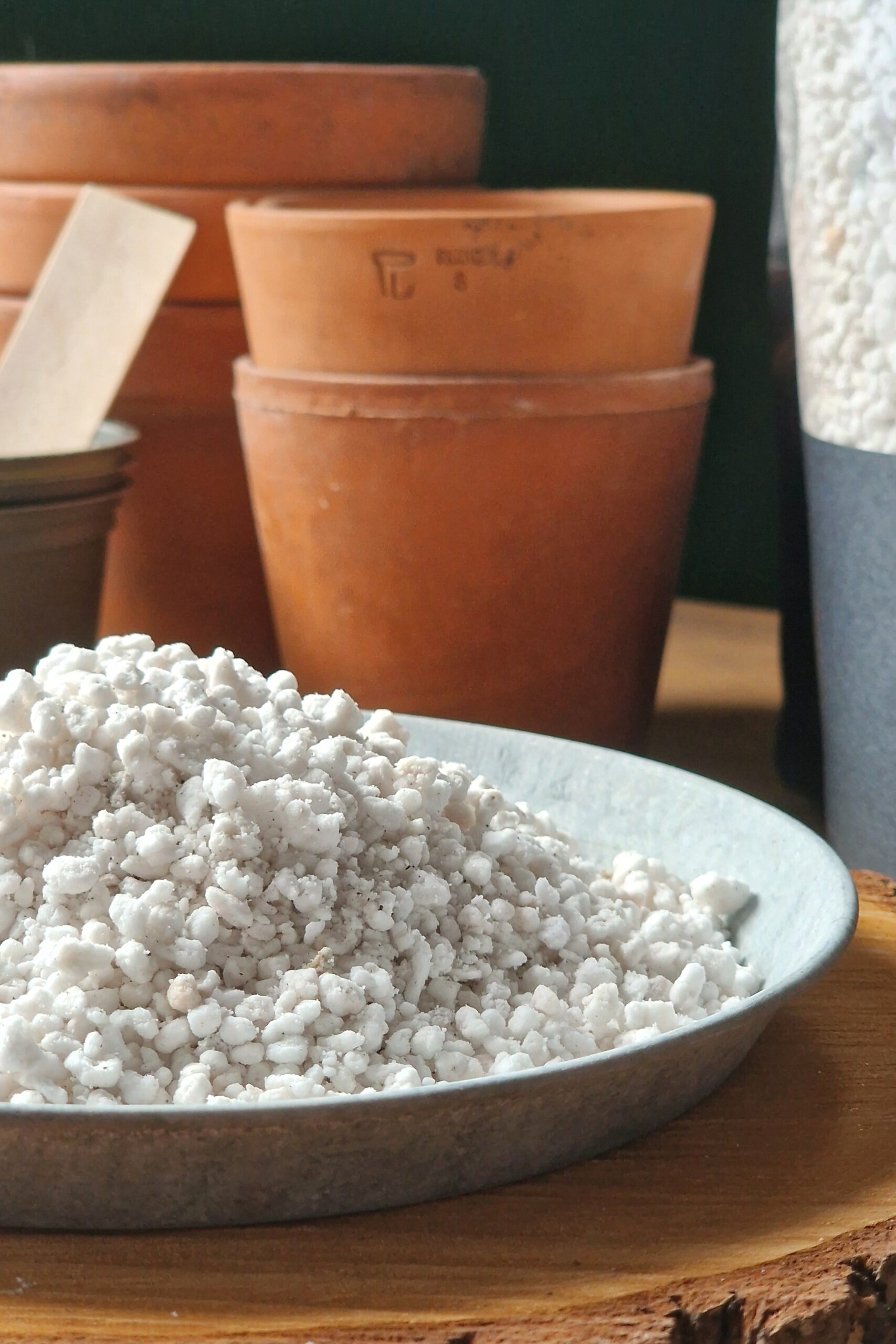 Pestud perliit - Image 2