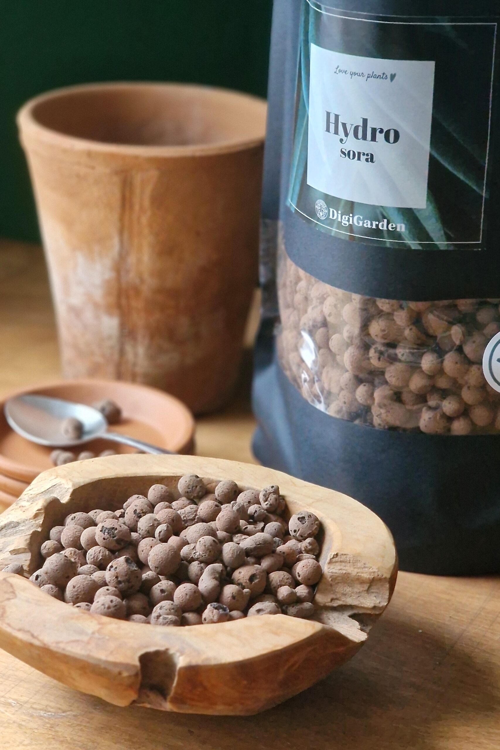 Hüdrokruus by DigiGarden