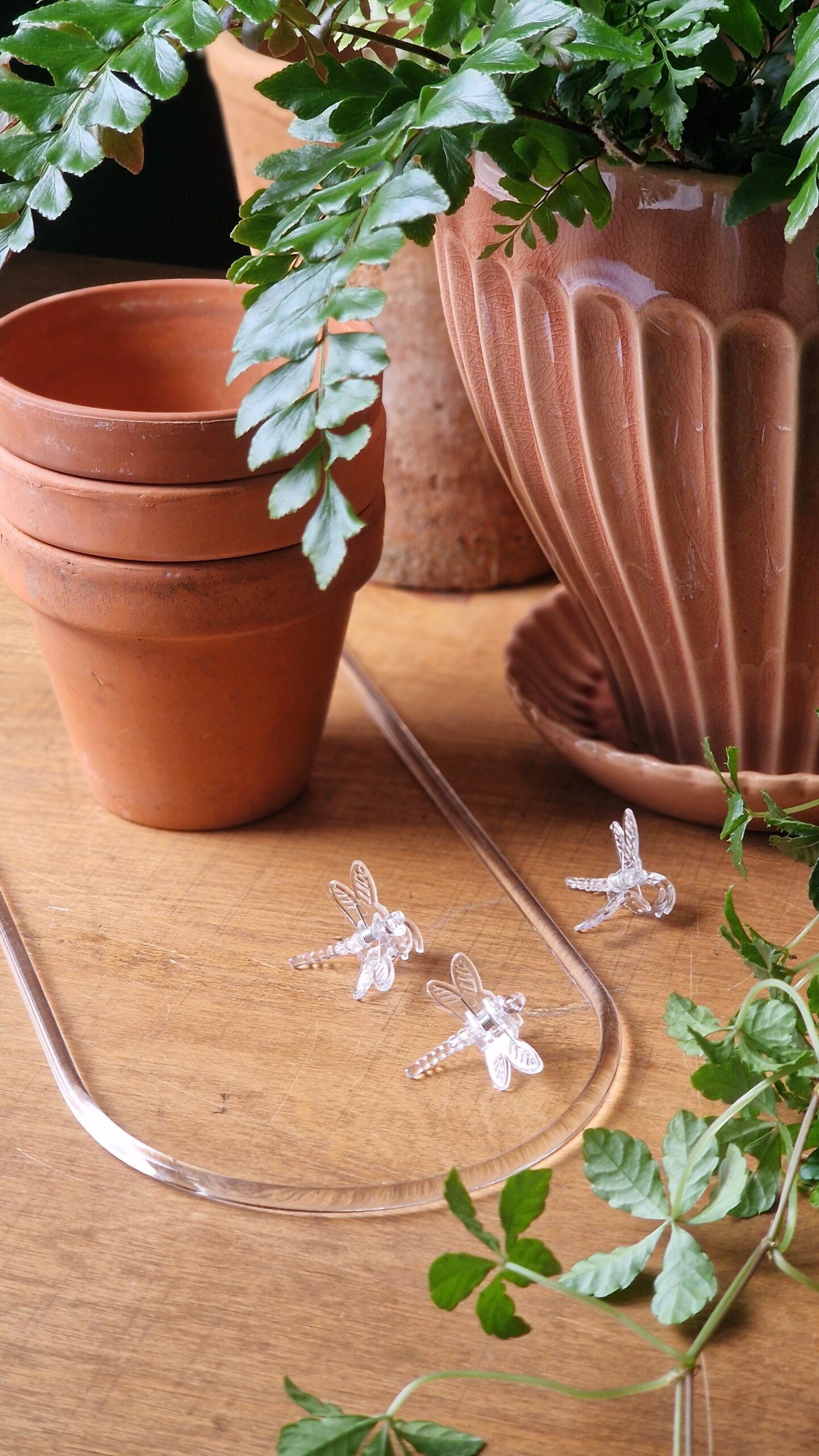 Kaartugi läbipaistev