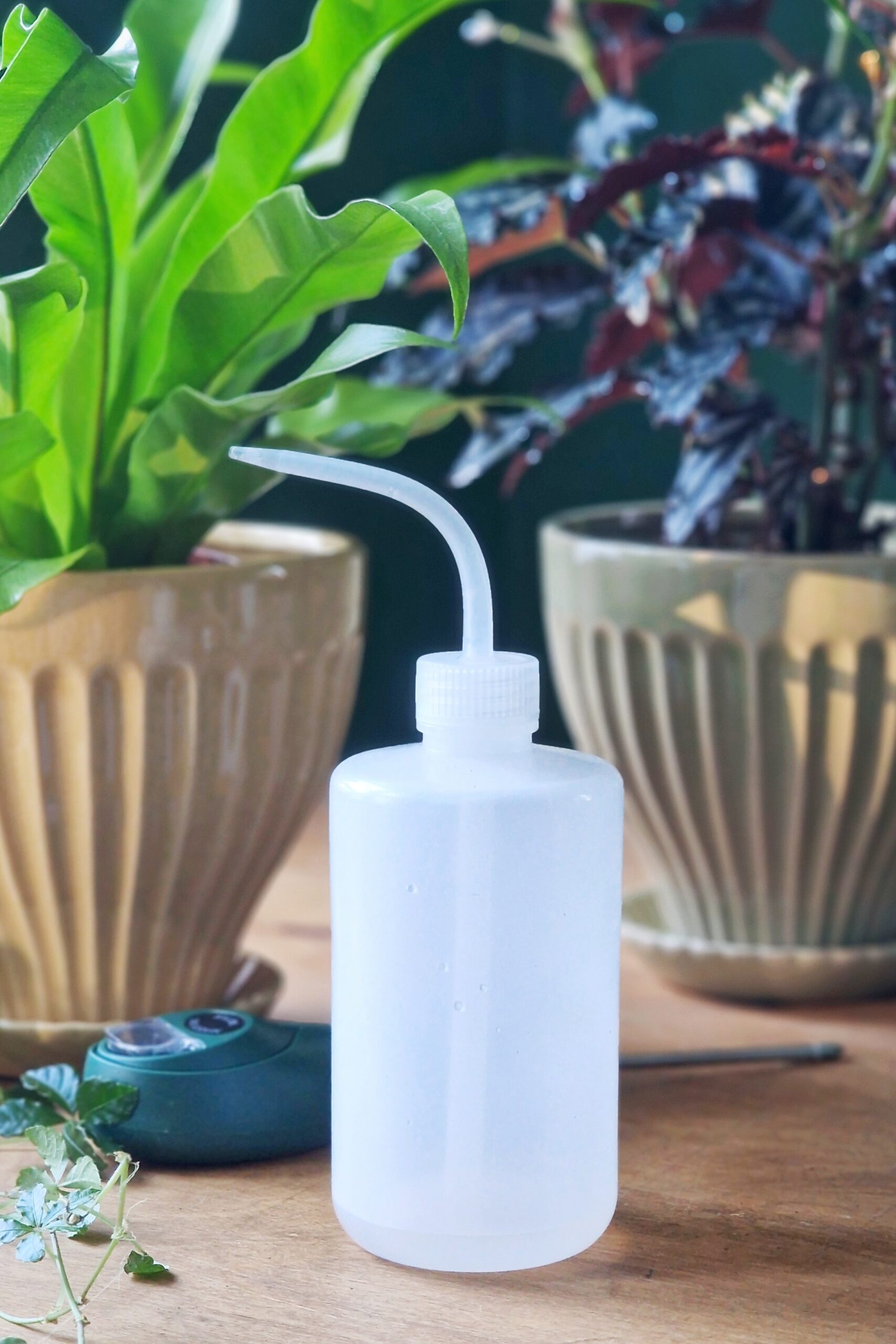 Kastmispudel tilaotsikuga - Image 3