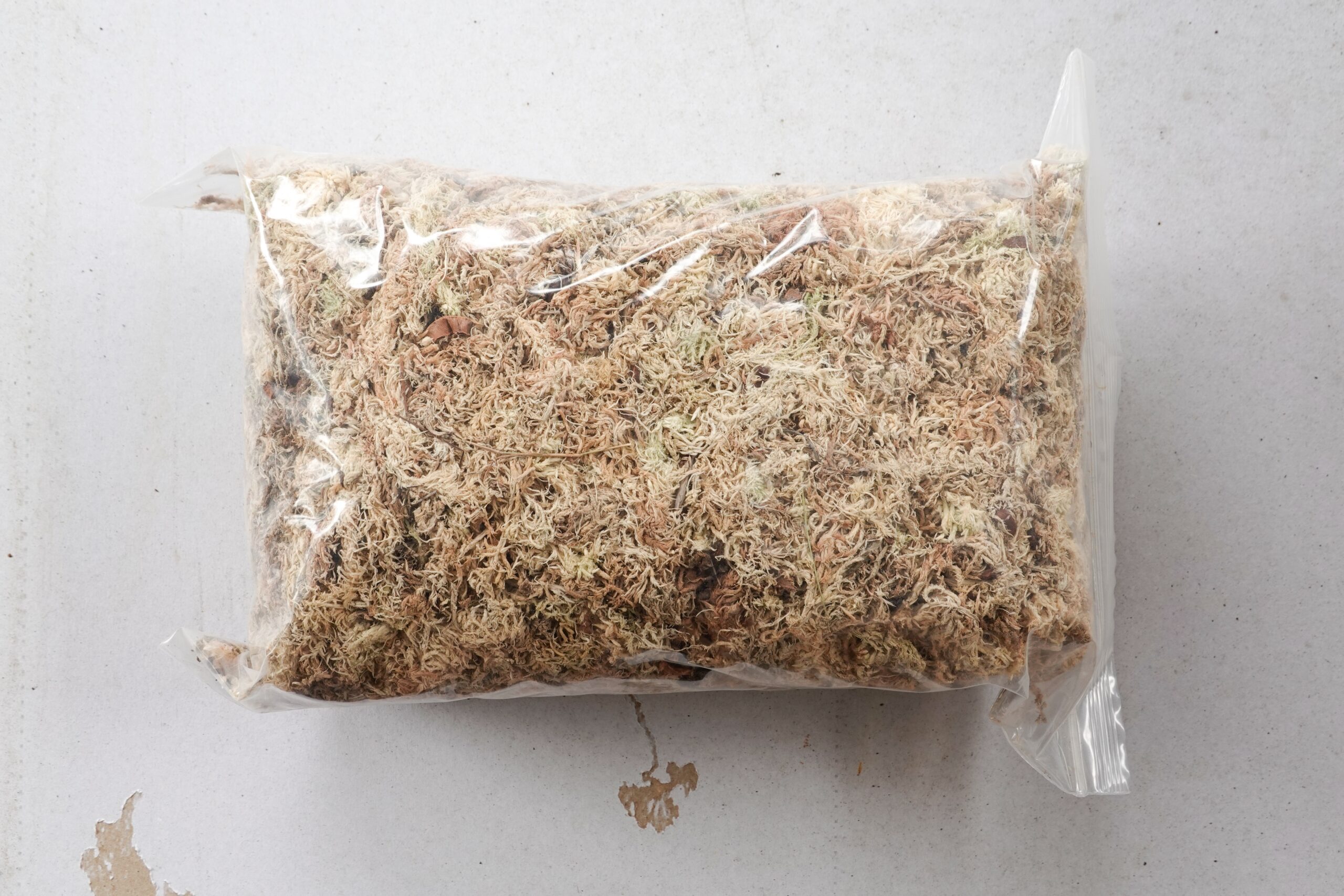 Sambatugi eest avatav (läbipaistev) + turbasammal 30 g - Image 2