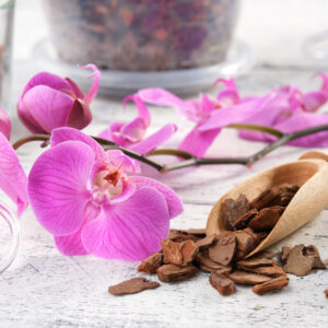 Orhideemuld Nelson Garden 4L