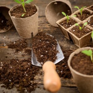 Biolagunev istutuspott