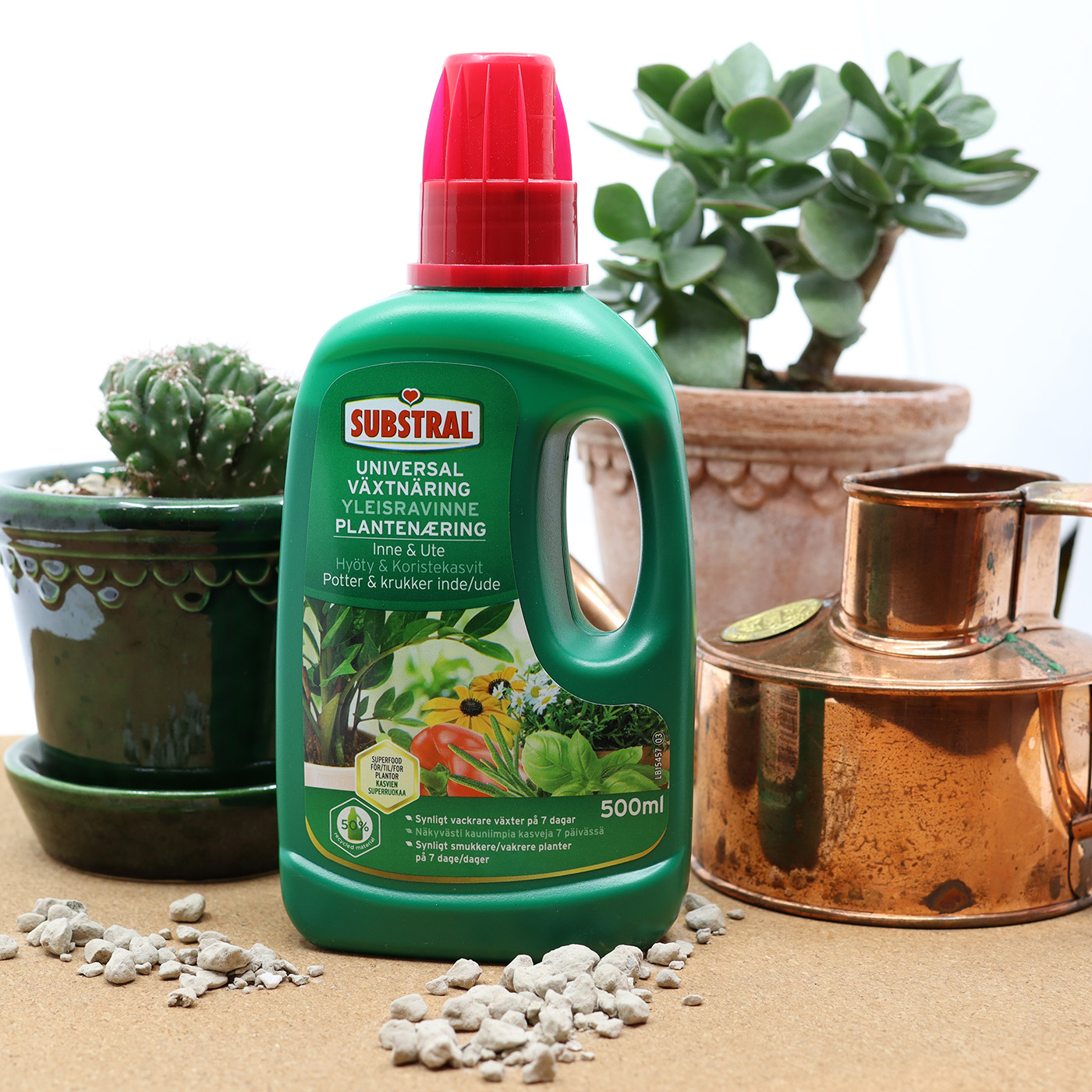 Substral Lehdekoratiivsete väetis huumusega 500ml