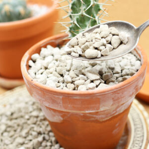 Roheliste toataimede kruus 5L