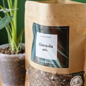 UUENDUS! Alocasia mix by DigiGarden