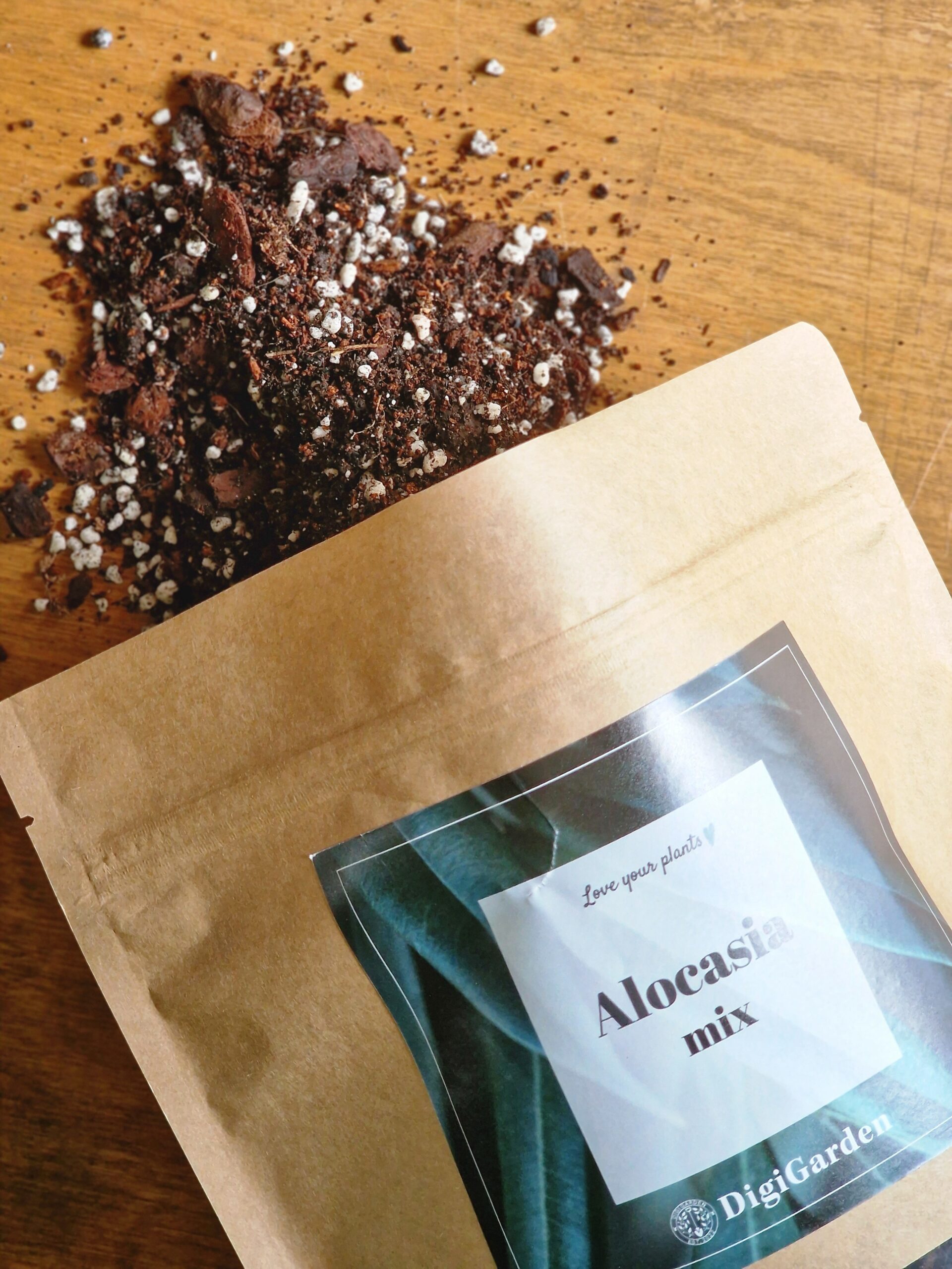 UUENDUS! Alocasia mix by DigiGarden - Image 2