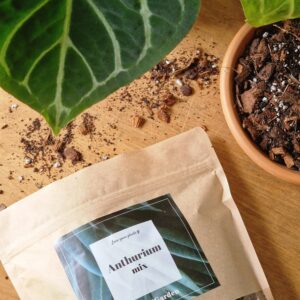 UUENDUS! Anthurium mix by DigiGarden