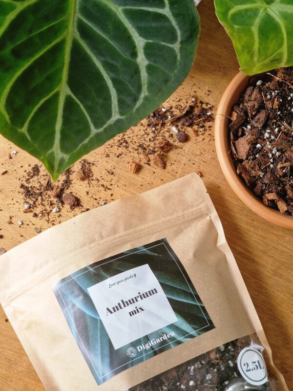 UUENDUS! Anthurium mix by DigiGarden
