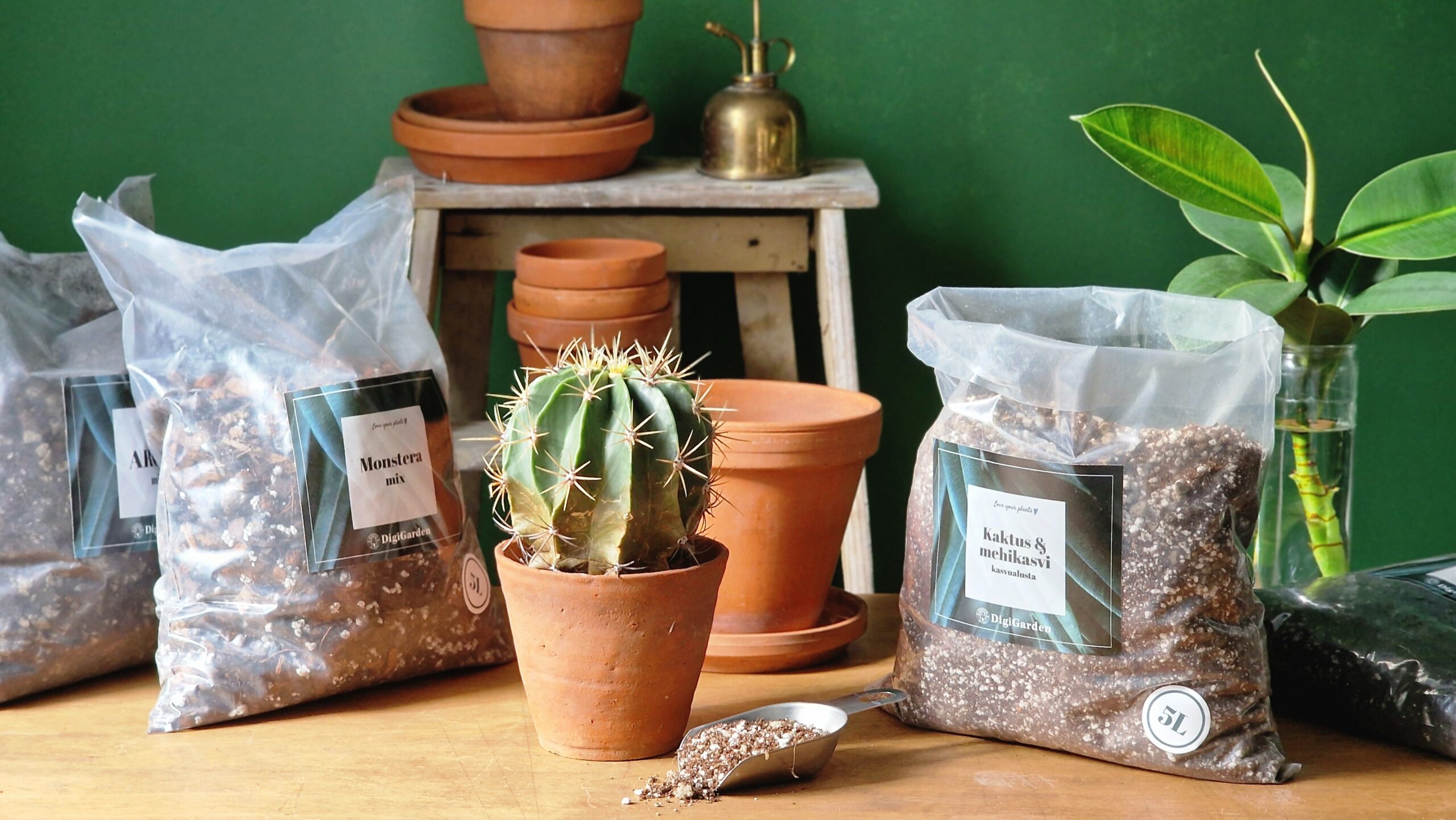 Terrakotapott - Image 4